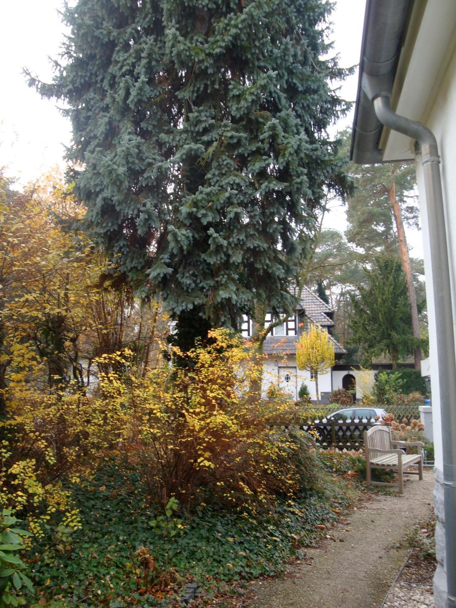 Hotel Landhaus Schlachtensee Berlin Dış mekan fotoğraf